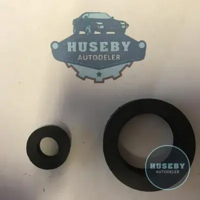 Gasket rings pear Opel CIH 817500 + 817502